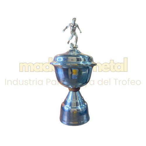 Imagen de Copa de metal con tapa - M5.180